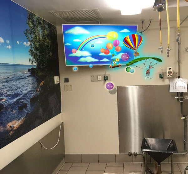 Medical | Amazing Interactives Ltd